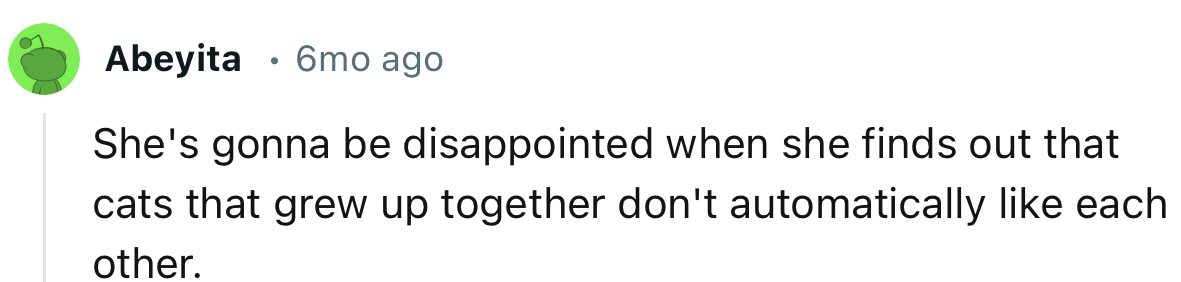 It will be interesting to see her reaction when she finds out that cats that grow up together usually fight each other a lot
