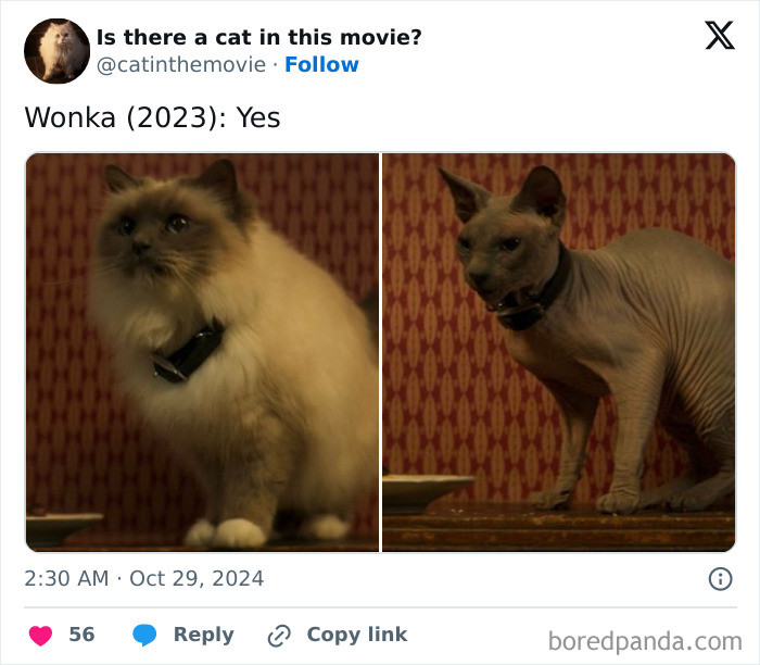 Website reaction section with movie titles, including Mistress America and Venom