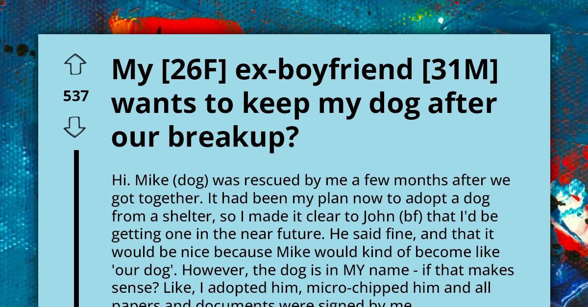 Woman Has Problems With Furious Ex Who Threatens To Involve Cops If He Isn’t Granted Joint Custody Of ‘Their’ Dog