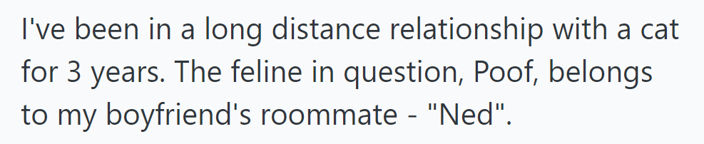 For three years, OP has been in a long-distance relationship with Poof, Ned's cat.