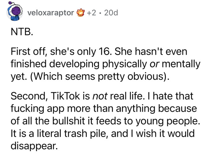 TikTok is not an accurate portrayal of society.