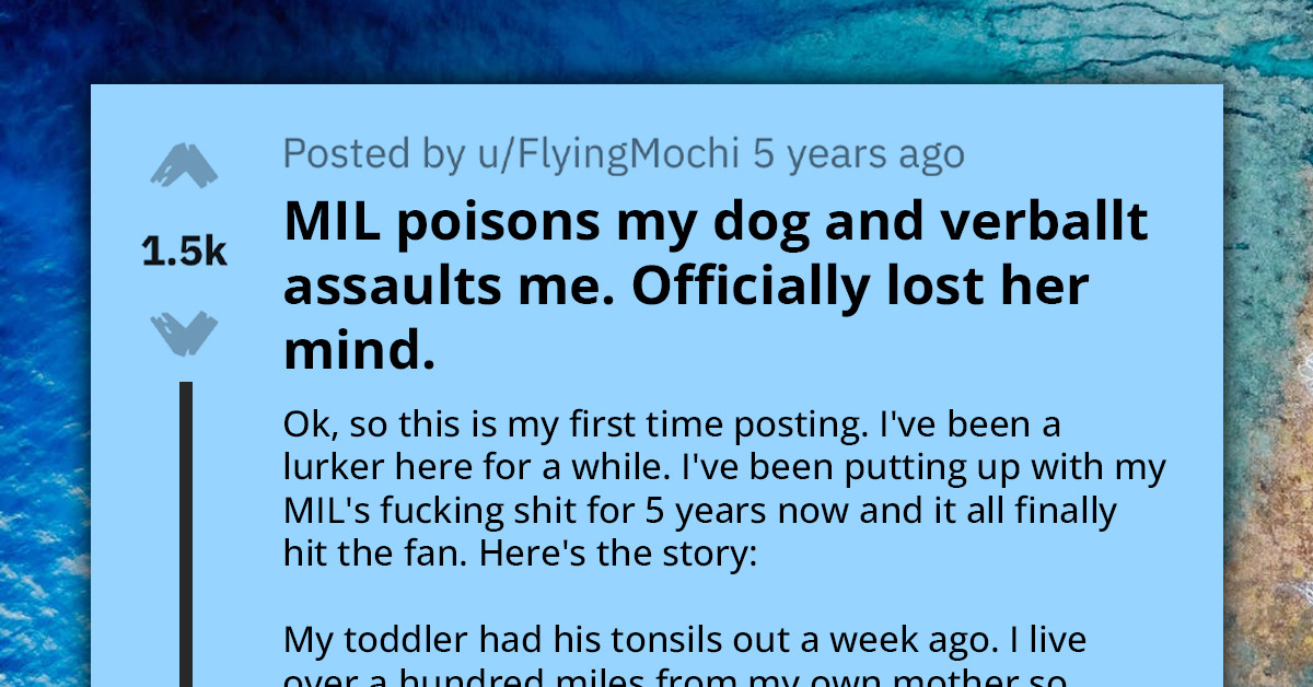 Redditor Bans Mother-In-Law From Her Home After She Poisons Dog Out of Negligence and Verbally Assaults Them