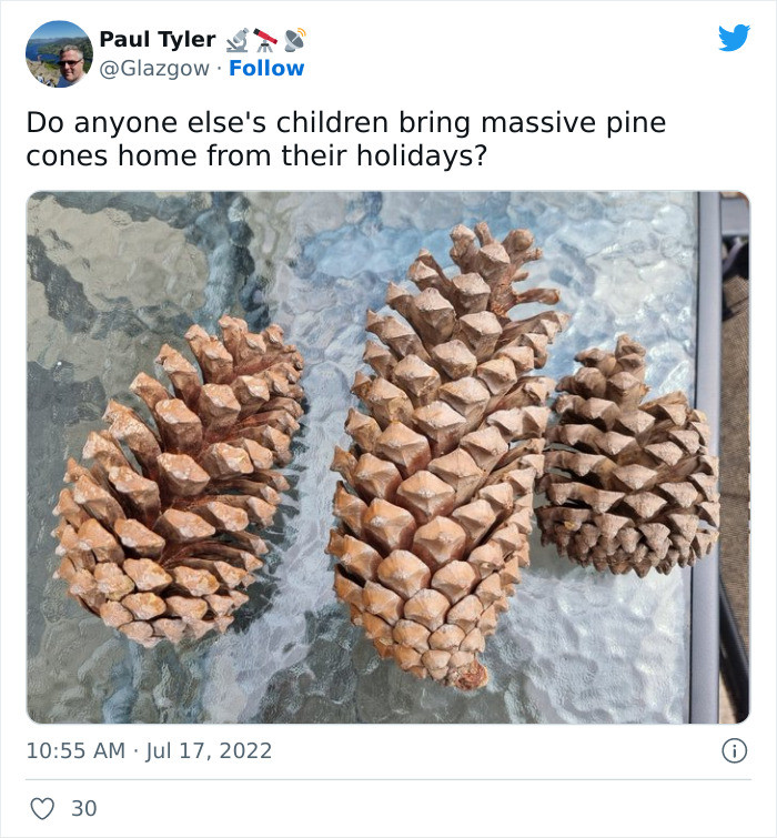 10. The pinecones are a must!