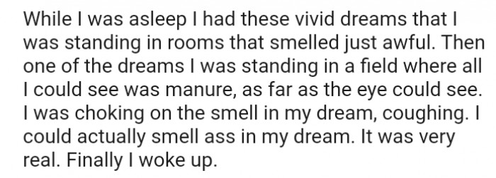 Having a dream when you're standing in rooms that smell awful