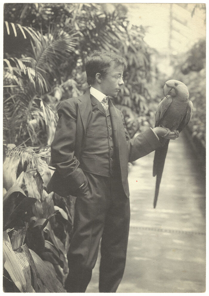 "Theodore Roosevelt Jr. With Eli Yale, A Hyacinth Macaw, In The White House Conservatory, 1902"
