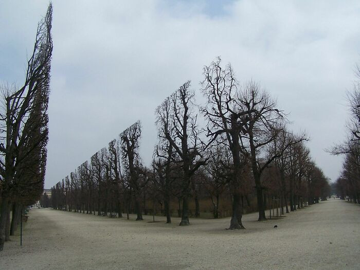 "The Highlight Of My Visit To Schönbrunn"