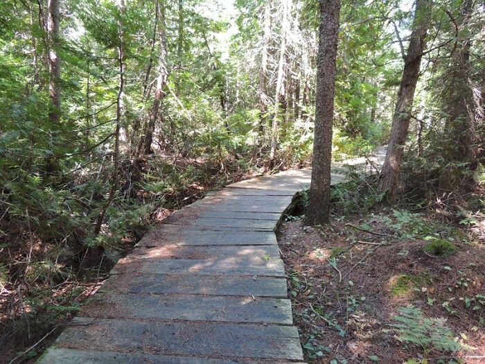 14. Why would anyone sign away an entire year of their lives?