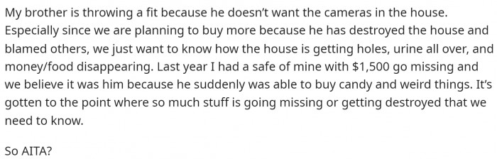 Her brother is mad about the cameras, obviously, but this is why they're sticking with them.