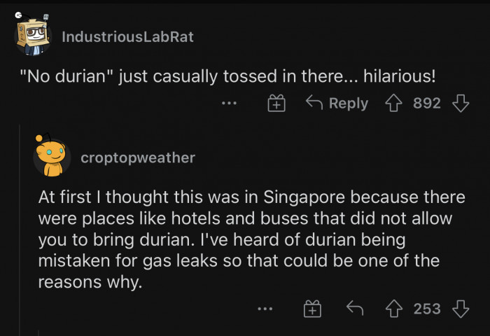 There's a reason why durian is usually banned.