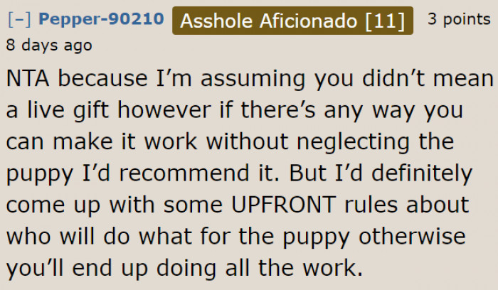 If the OP decides to get a puppy, she needs to set the rules.