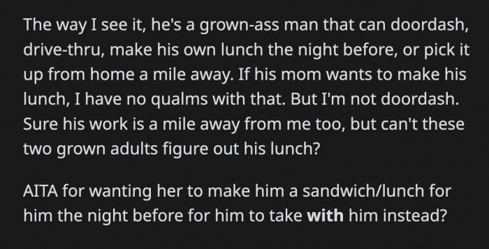 OP thinks her BF is more than capable of figuring out a lunch for himself while he's working. If her MIL really wants her son to eat healthily, they are more than welcome to discuss it between the two of them without involving OP.