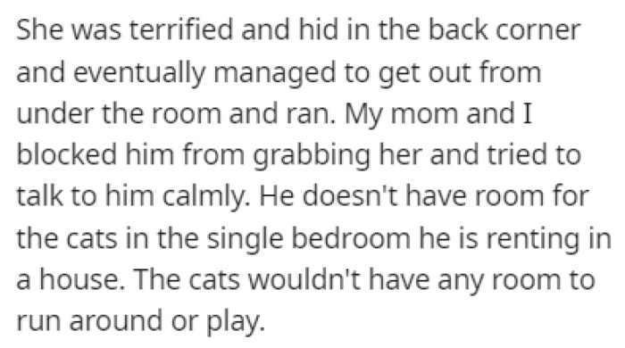 OP and Her Mother Tried to Talk the Roommate Out of Taking the Cats with Him