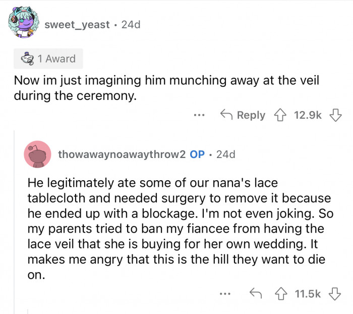 Here's how the Reddit community reacted to u/thowawaynoawaythrow2's post: