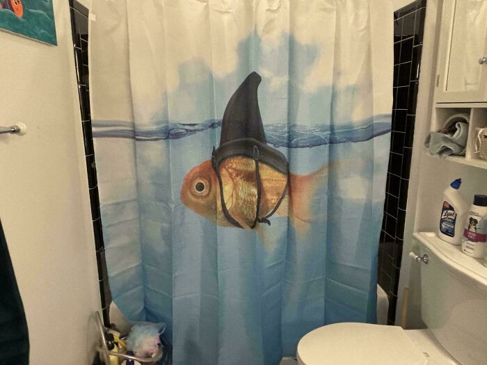 "Just Got My New Shower Curtain Up, Thoughts?"