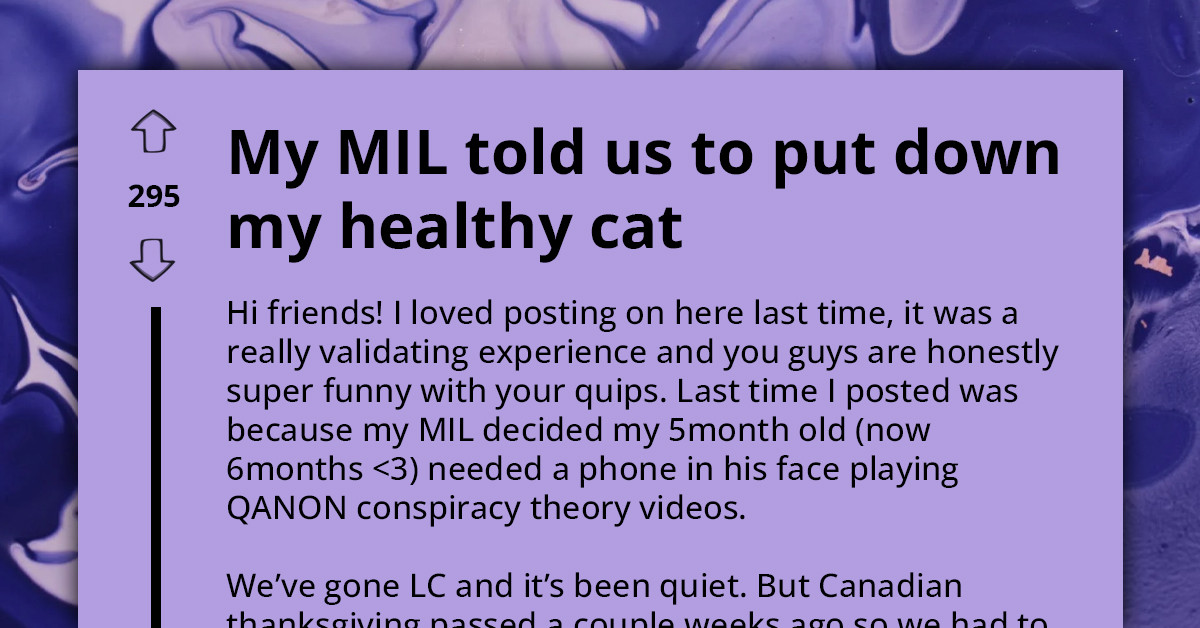 Redditor Considering Going No-Contact With Mother-In-Law After She Suggests They Put Down Their Cat