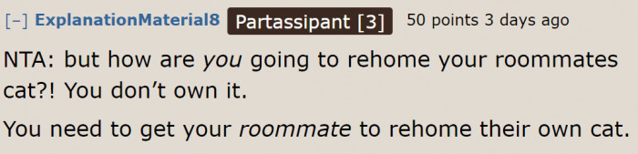 The OP needs to talk to their roommate properly. They can't just rehome someone else's cat.