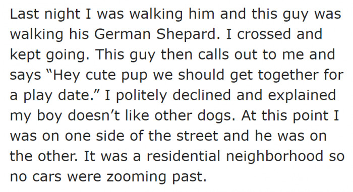 Some random guy who owns a German Shepherd wanted to approach the OP while she was walking her dog.