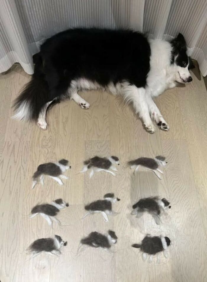 14. DIY puppies: made entirely of fur