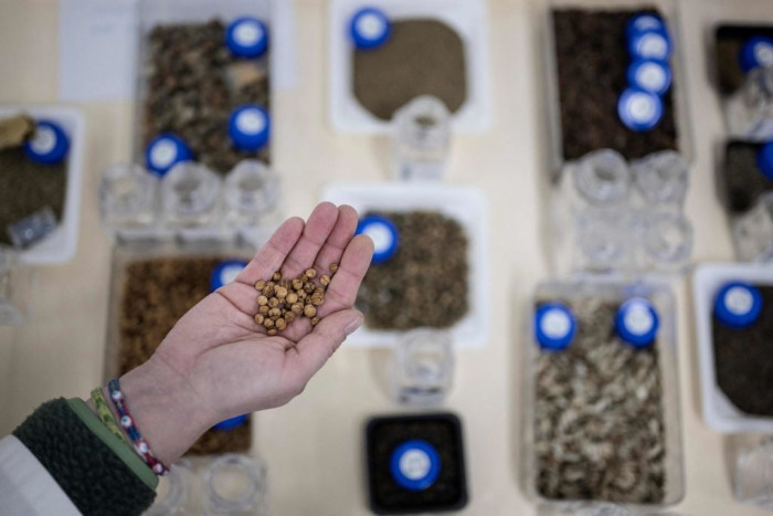 Cold storage facility at Wakehurst, showing long-term seed preservation racks