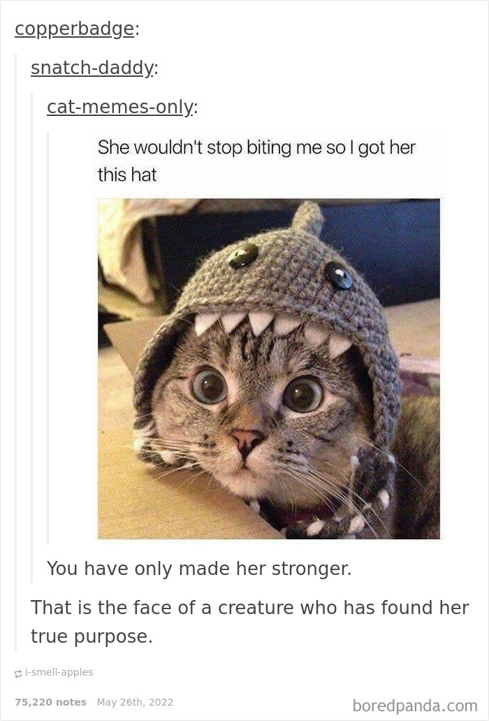 39. A creature who has found her true purpose