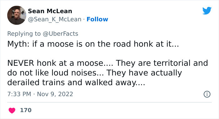 Moose can actually be quite dangerous to us simply because of their size.