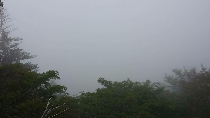 30. When you traveled for three hours and got this picture of Mt. Fuji.