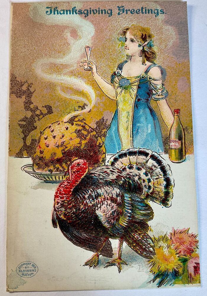 33. The turkey is standing by