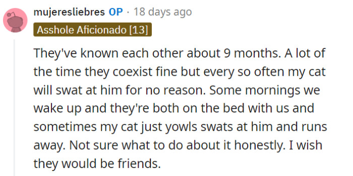 Introducing cats can be a complex process, and it seems that the cat and Frankie are still in the midst of adjusting to each other.