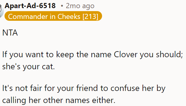 OP should ask her friend to stop using different names.
