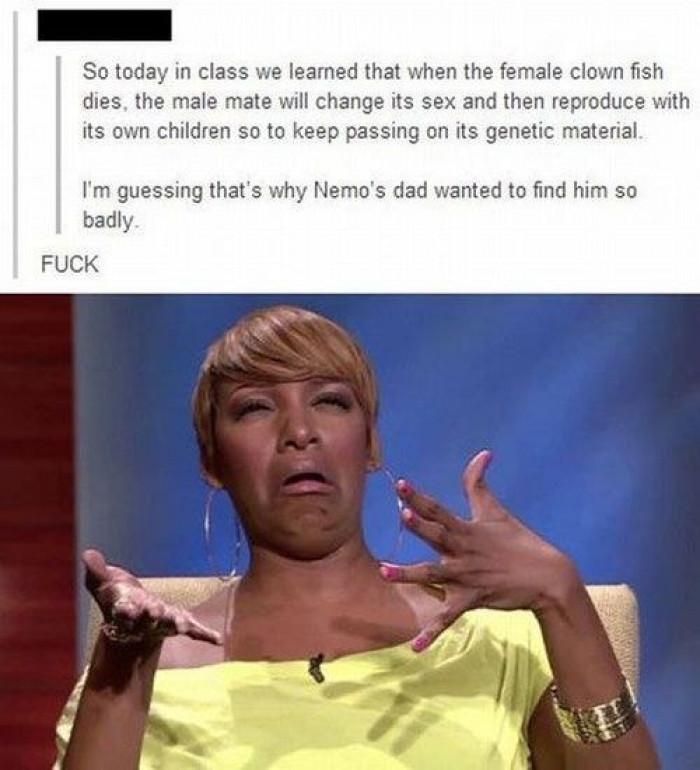 9. What the hell, Marlin?