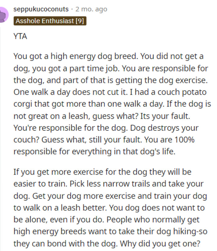 It seems that many people are saying that OP is TA because of how much activity OP's dog breed needs versus how much they're getting.