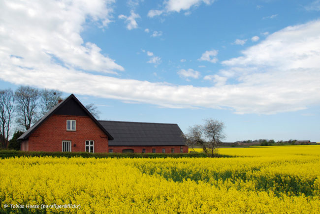 The Danes throw dishes at people's homes to wish them good luck.