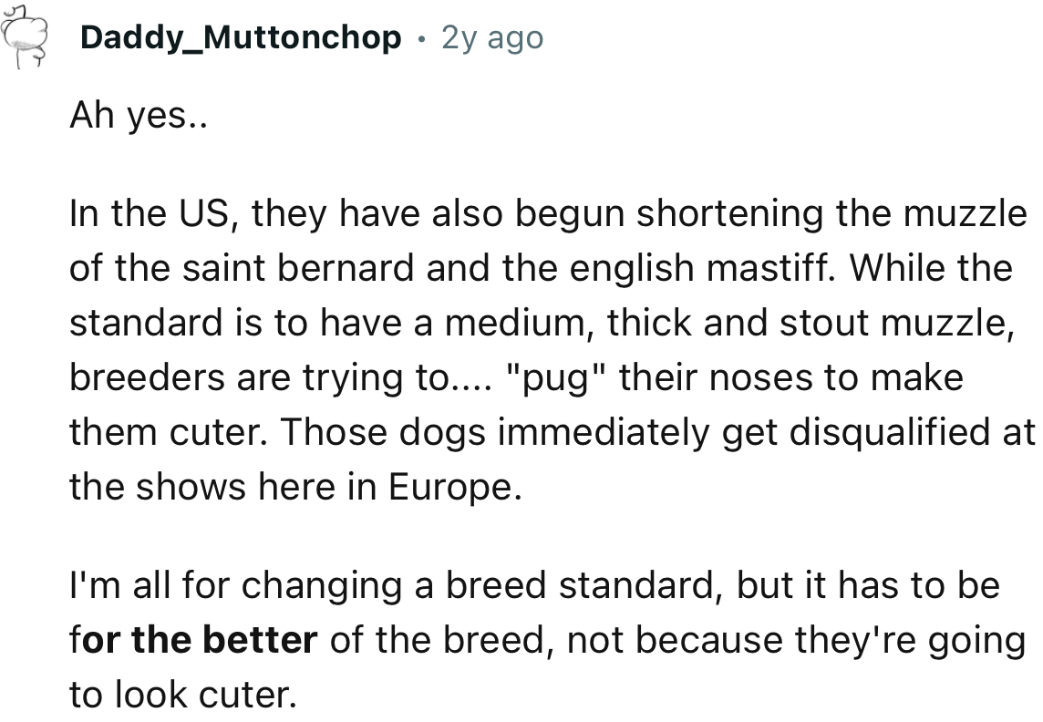 “In the US, they have also begun shortening the muzzles of the Saint Bernard and the English Mastiff.”
