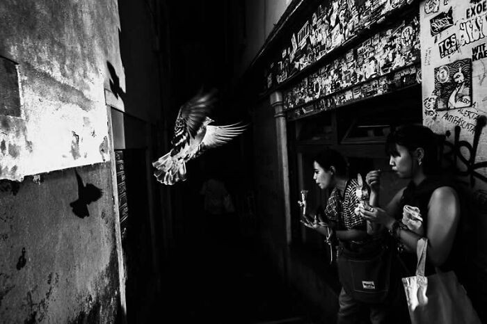 Venice Unseen By Adam Vincent, United Kingdom, Series Winner – 3rd Place