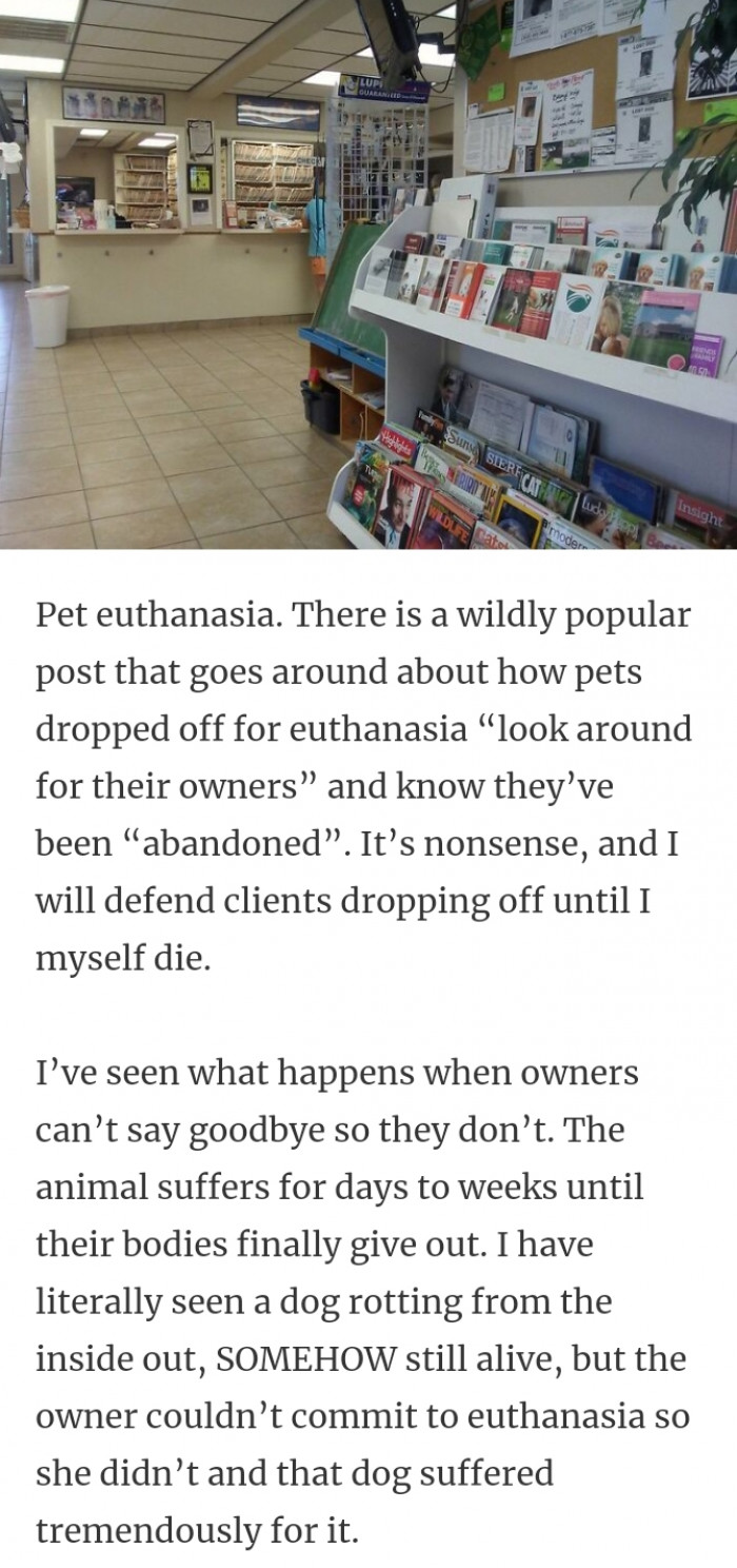 15. Pet euthanasia