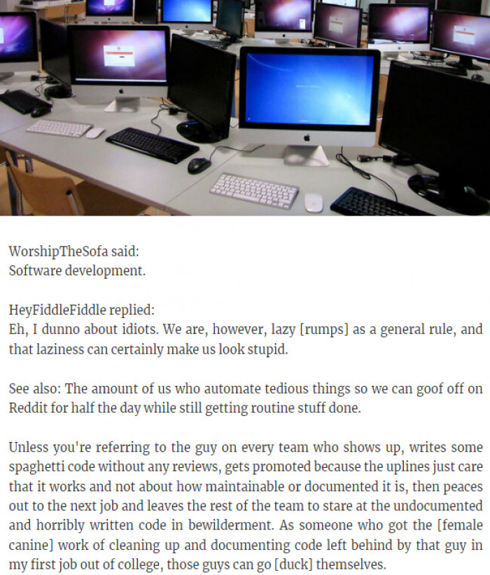 23. The Software Development