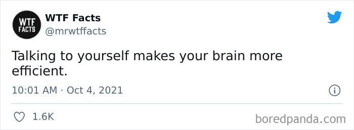 24. Time to talk to myself