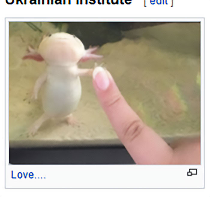 1. Love in its purest form.