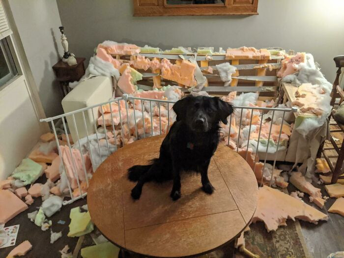"You Are Not Going To Believe What Happened While You Were Gone"
