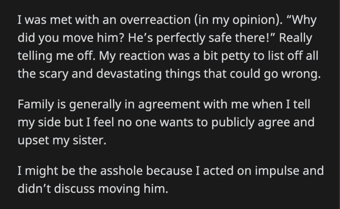 OP's sister immediately scolded her for waking the toddler up when he was perfectly safe in the car. No one else supported OP.