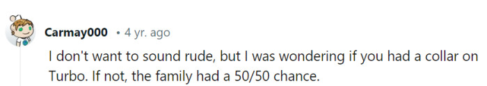 No offense taken! Collar or no collar, Turbo's superhero guardian was there to tip the odds heavily in favor of keeping their precious kitty!