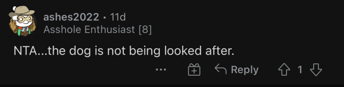 The roommate is being neglectful and not taking good care of their dog.