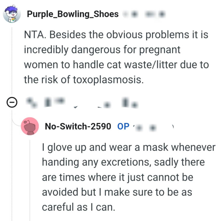 It's incredibly dangerous for a pregnant woman to handle cat waste
