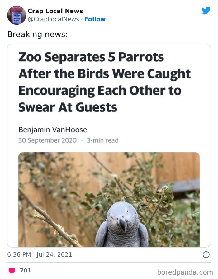 20. Separate the parrots