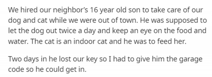 The pet sitter was supposed to take care of OP's dog and cat, but after only 2 days, he managed to lose their house key.