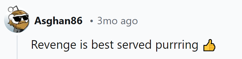 Revenge is best served with a purr-fect lap!