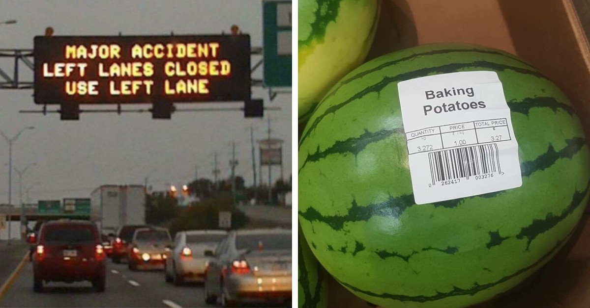 50 Bewildering Pictures That Can Cure Your Imposter Syndrome