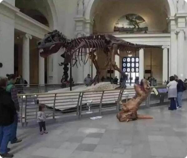 35. I'm trying to picture this well enough