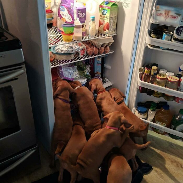 20. We All Want These Snacks