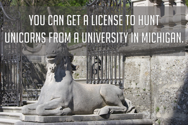 18. Why would anyone hunt those lovely creatures?